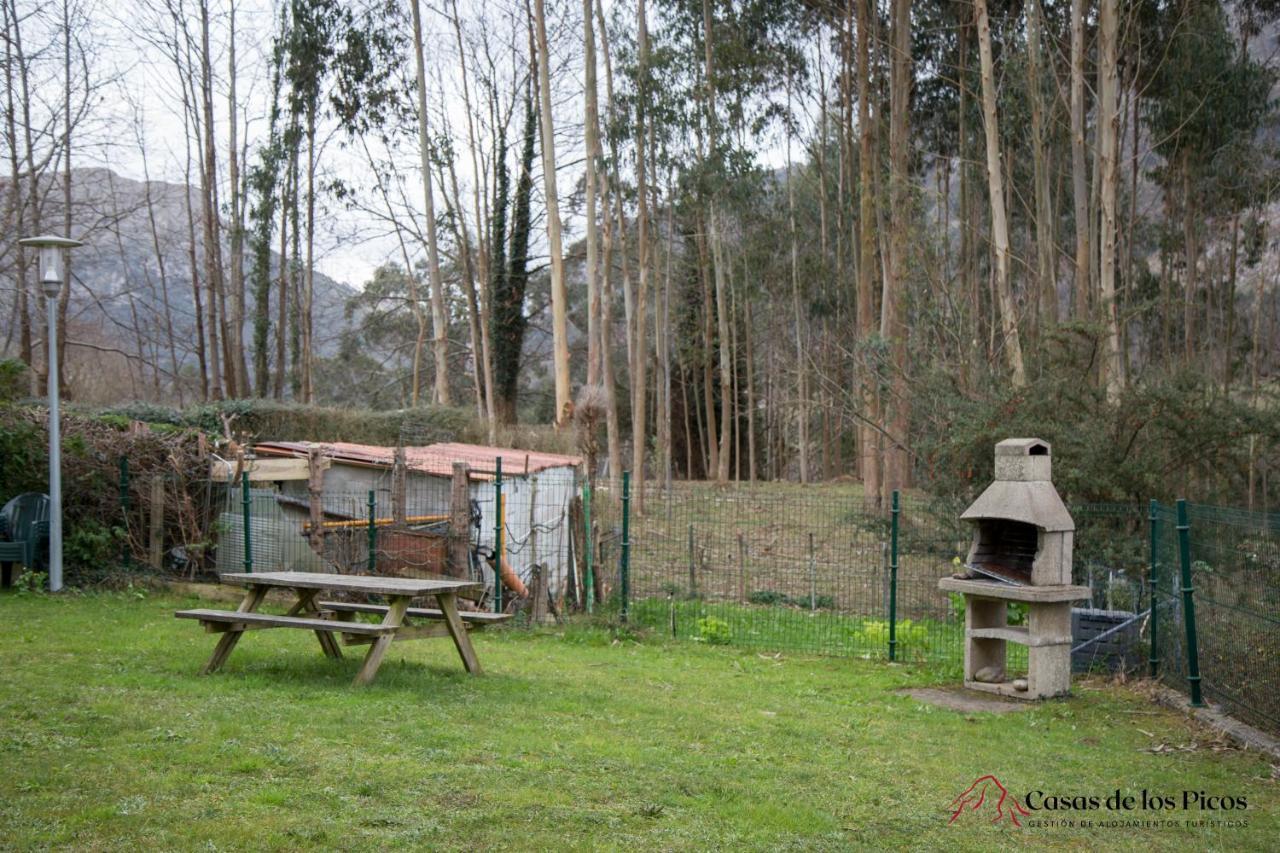 Apartamento El Soplao - Casas de los Picos Celis Exterior foto